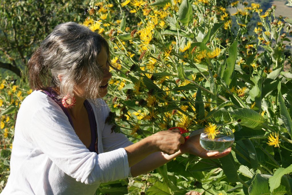 lucilla fiori di bach