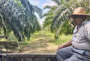 La lotta per la sopravvivenza delle comunità indigene guatemalteche contro le aziende di olio di palma