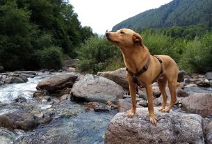 Cerco alloggio con attività in natura