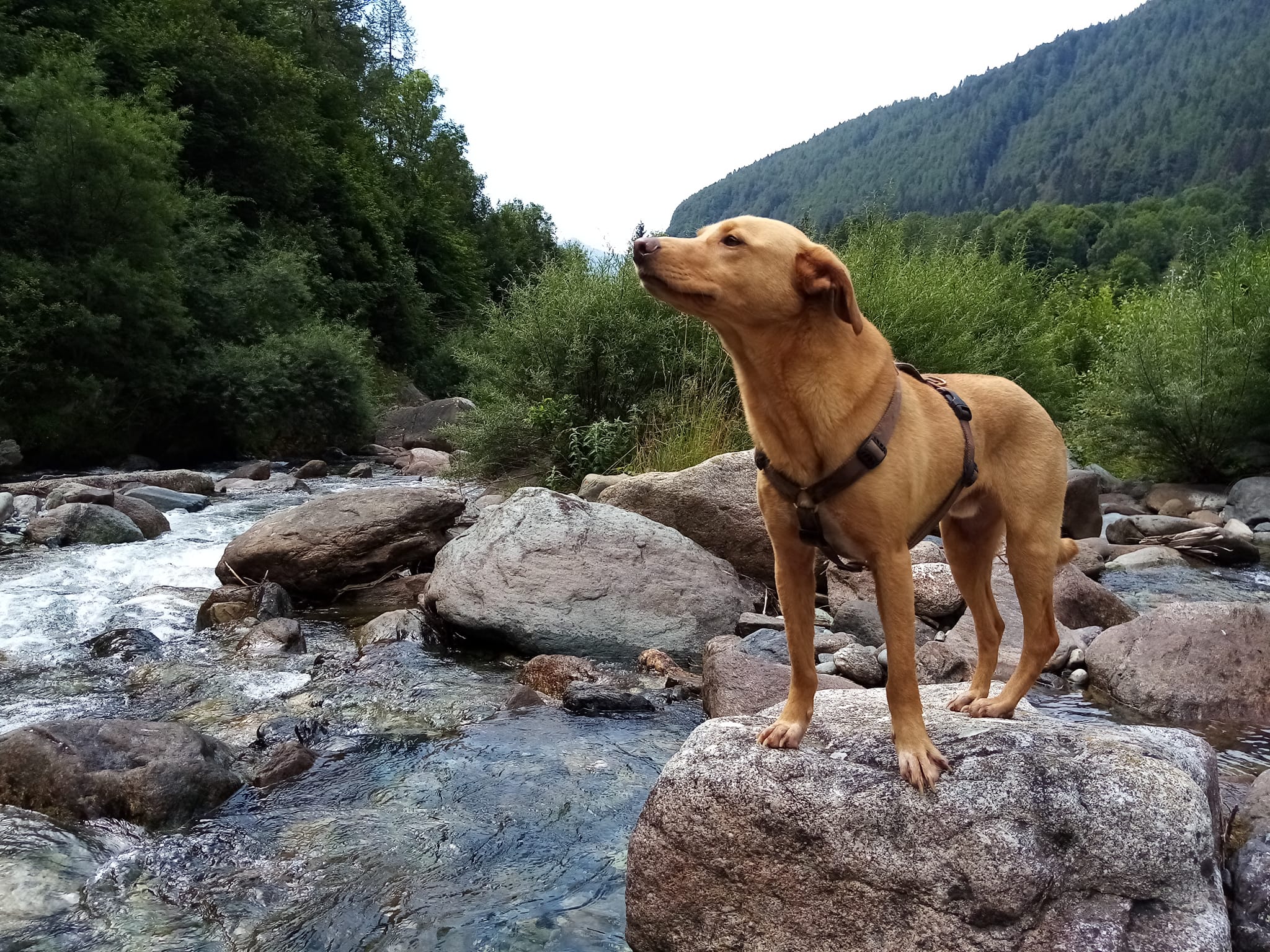 Cerco alloggio con attività in natura