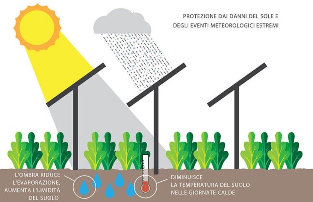 benefici agrivoltaico temperatura umidita 1