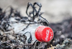 Coca-Cola è la regina dei rifiuti plastici: cosa fare per fermare le multinazionali inquinanti?
