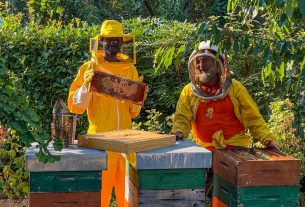 La storia di Moussa Abbati Yahaya: rifugiato del Niger, oggi apicoltore tra arnie e api