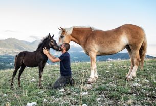 Capra Libera Tutti, il santuario che salva gli animali dal mattatoio e diffonde la cultura del rispetto