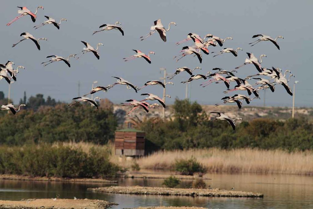 Saline di Priolo