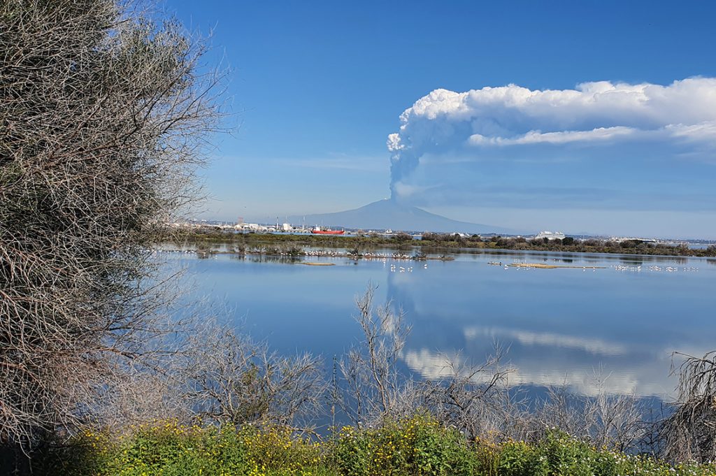 Riserva Saline di Priolo 