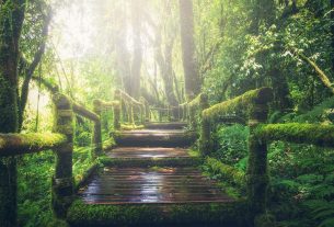 Cerco persone motivate a vivere e fare progetti creativi e innovativi in natura