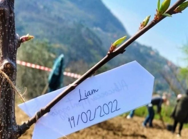 TrashTeam, l’associazione che dedica alberi di antiche varietà ai nuovi nati del 2023