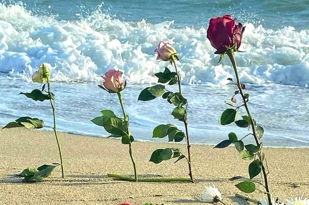 fiori sulla spiaggia di Cutro Rete 26 febbraio