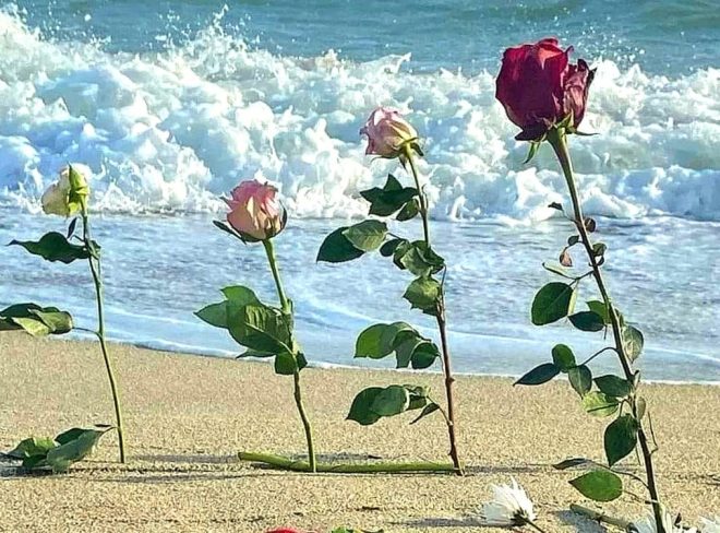 fiori sulla spiaggia di Cutro Rete 26 febbraio