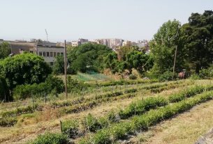 A Catania un incontro per progettare insieme un centro educativo sulla permacultura e l’agroecologia