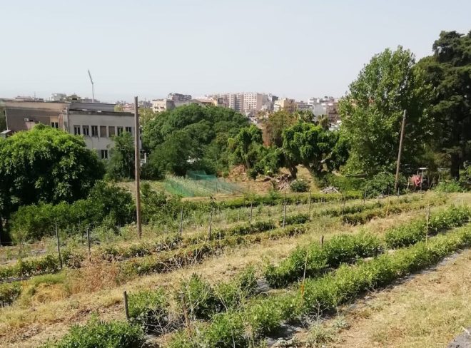 fondazione
