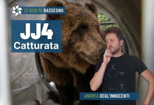 La cattura dell’orsa JJ4 e lo “storytelling” dei media – #713