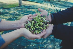 Renato Pata e il suo modello aziendale per valorizzare l’olivicoltura in Calabria