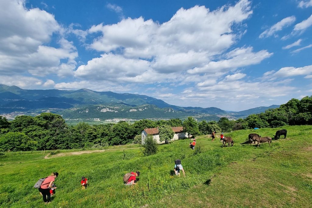 I terrazzamenti di Cascina Rapello