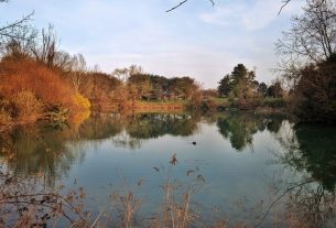 A Torino una raccolta firme per salvare il Parco della Pellerina dal consumo di suolo