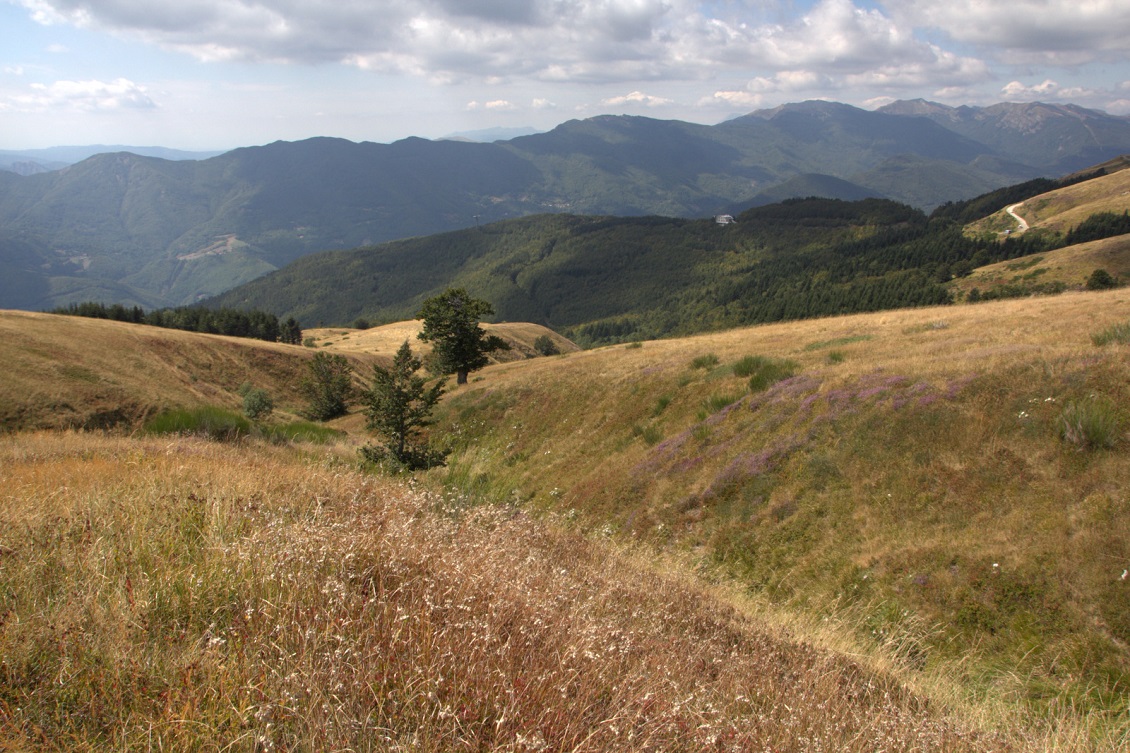 Appennino Tosco Emiliano 16 milioni per un nuovo impianto, ma qual è l