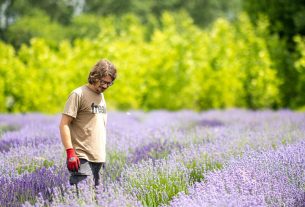 Arakè, la comunità agricola che porta la campagna in città