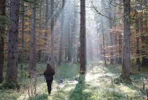 Cansiglio InVita, quattro giorni in foresta per riconnettersi con la Natura