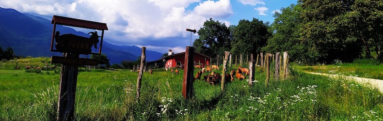 Il Fauno Fattoria Ribelle