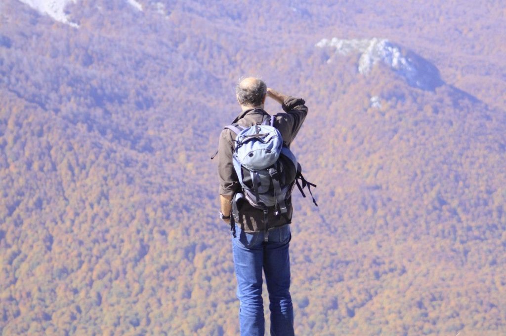 passo dopo passo piacentini