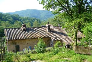 Offro appartamento gratuito in tenuta Toscana in cambio di aiuto