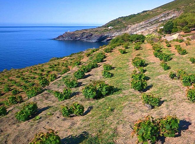 pantelleria 1