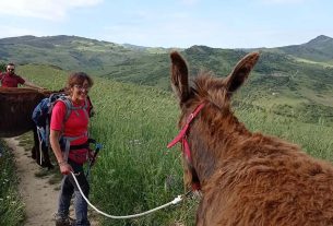 Stefania Greco: “Con la transumanza degli asini vi porto alla scoperta della Sicilia rurale”