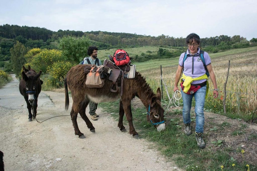 Stefania Greco e i suoi asini