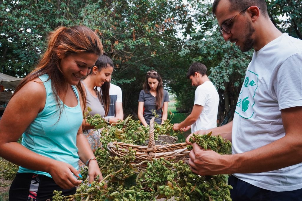 cohousing agricolo andririvieni 3