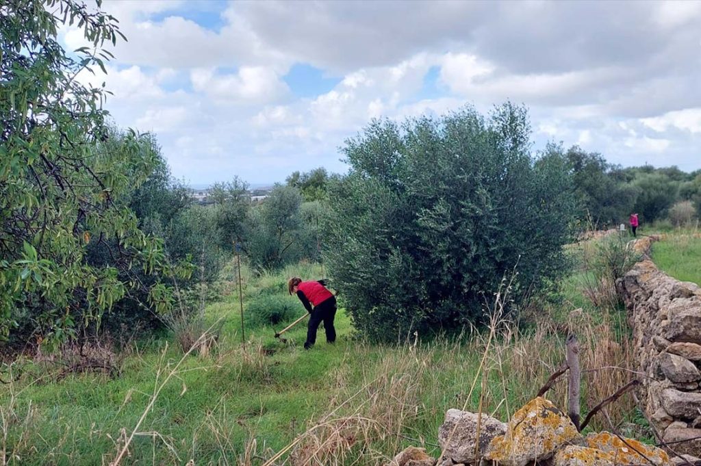 Inferno food forest