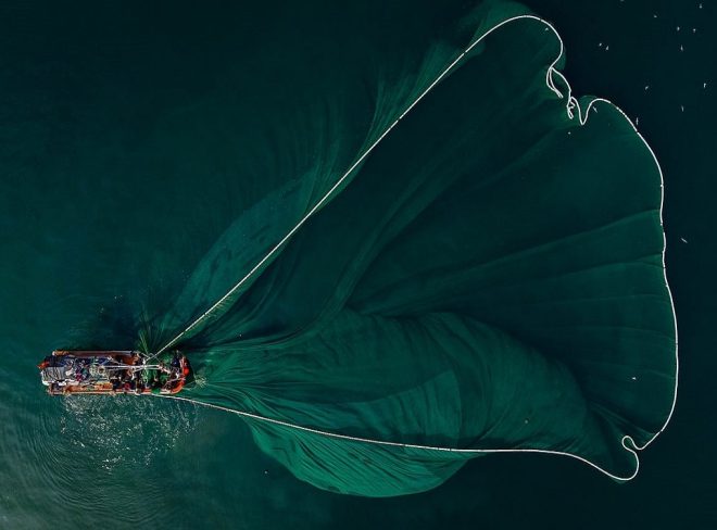 overfishing 3