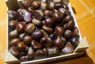 Offro Castagne Cuneo IGP