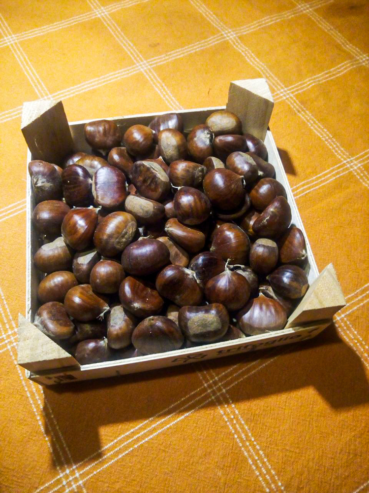 Offro Castagne Cuneo IGP