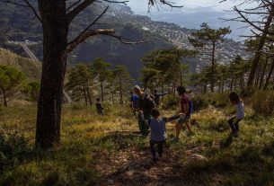 Il traguardo di A Thousand Trees Project: mille alberi piantati a Nervi