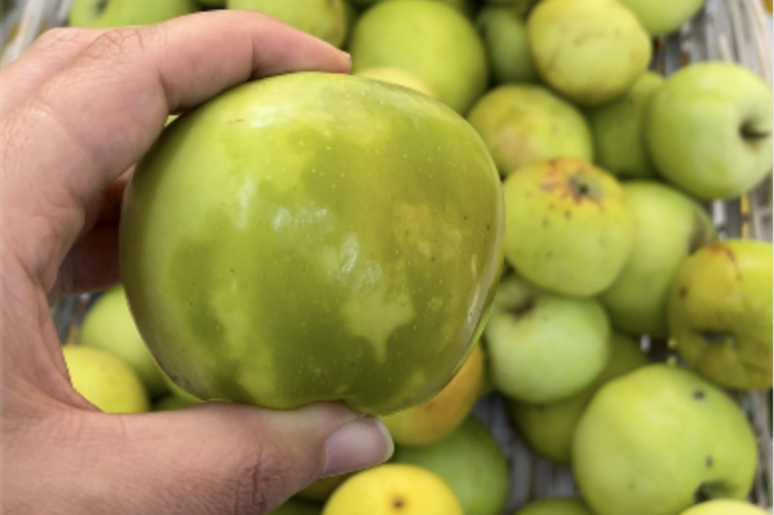 autosufficienza alimentare lanusei bottega