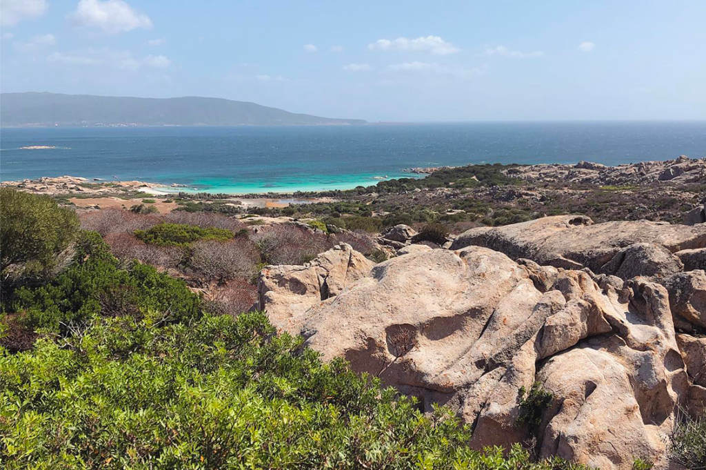 concessioni demaniali asinara