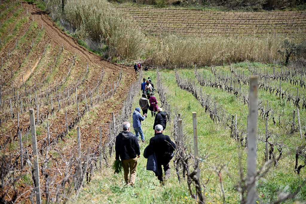 scuola pratica di agroecologia valdibella