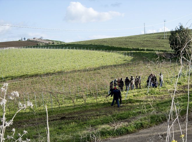 Scuola pratica di agroecologia