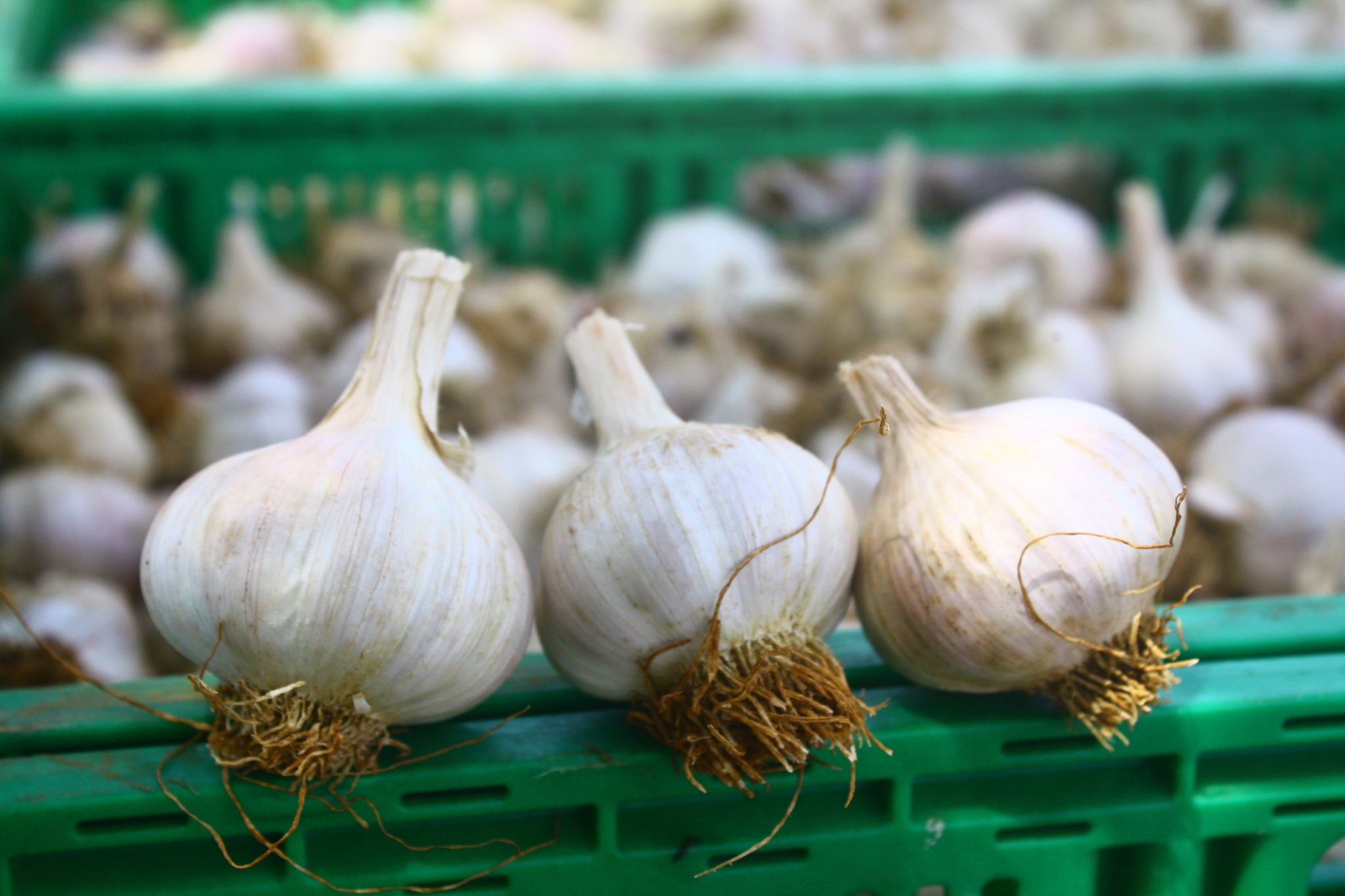 CapoGranitola Azienda Agricola Bio2