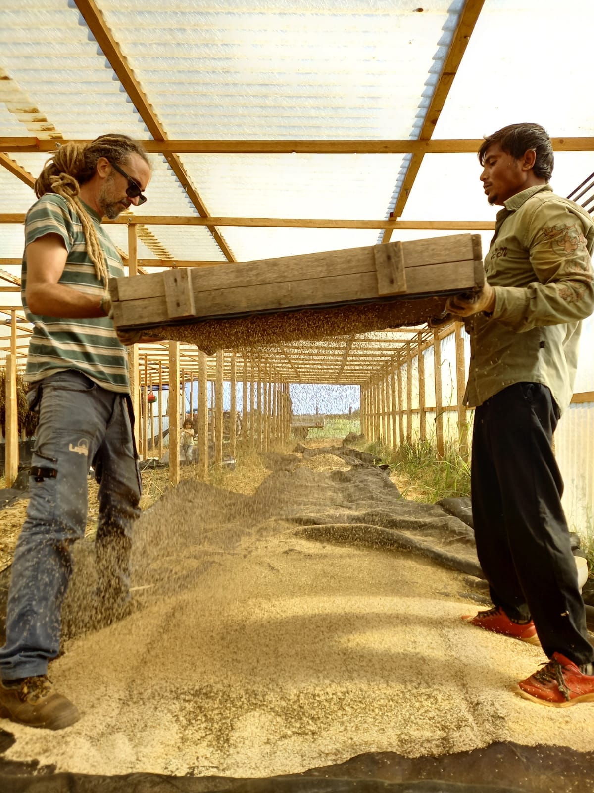 CapoGranitola Azienda Agricola Bio4