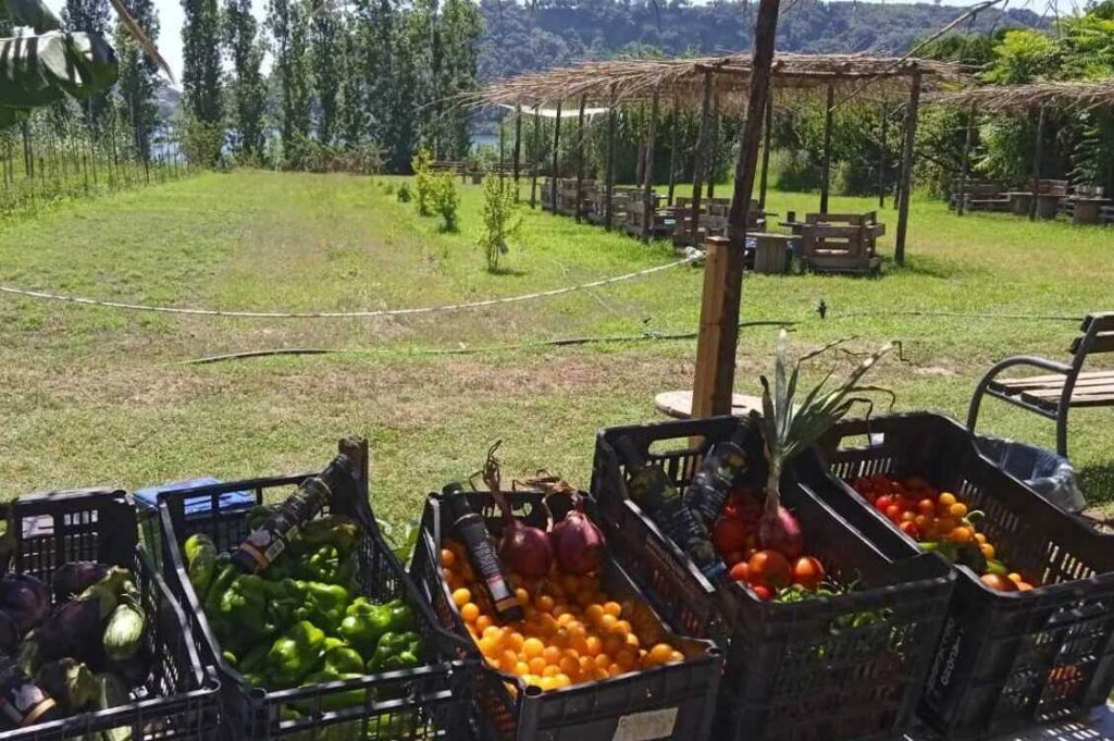 Il giardino dei templari 3