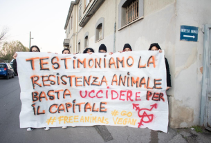 Spazio Animale, a Napoli il nuovo collettivo antispecista che lotta per i diritti di tuttз