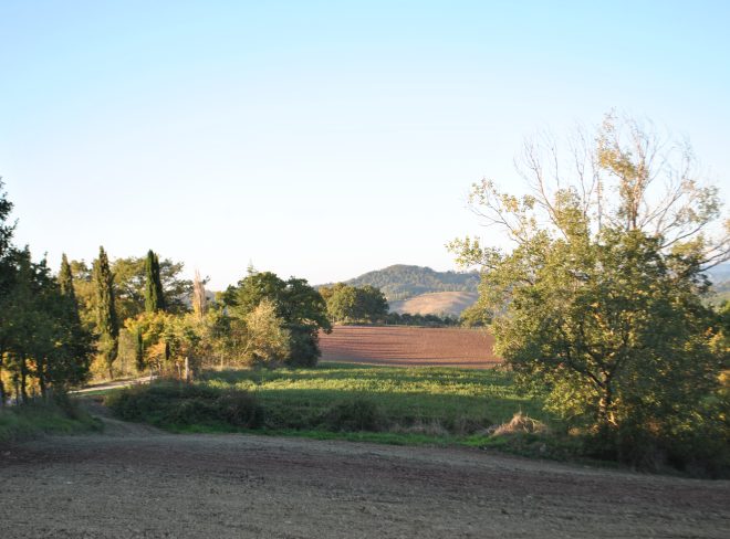 DSC 3263