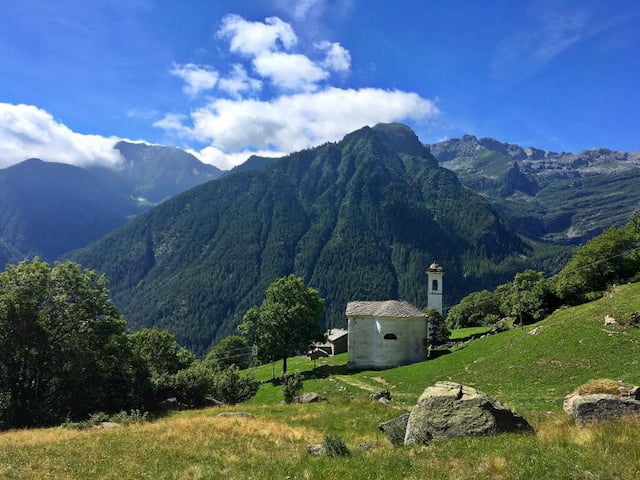 Offro aiuto in cambio di alloggio