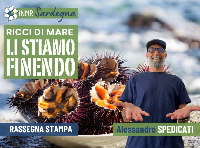 Ricci di mare, li stiamo finendo – INMR Sardegna #18