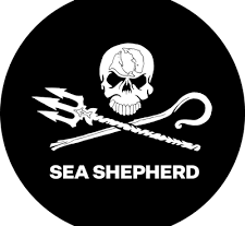 Sea Shepherd: le campagne in difesa dei mari