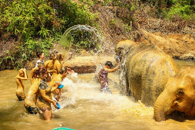 Chiara Grasso: perché il turismo è malsano con gli animali selvatici