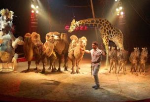 Chiara Grasso: Il circo con gli animali è eticamente sbagliato