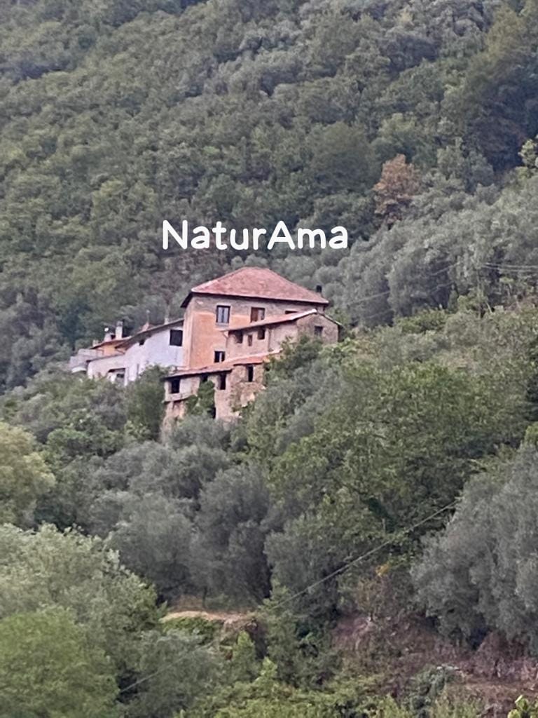 Naturama1